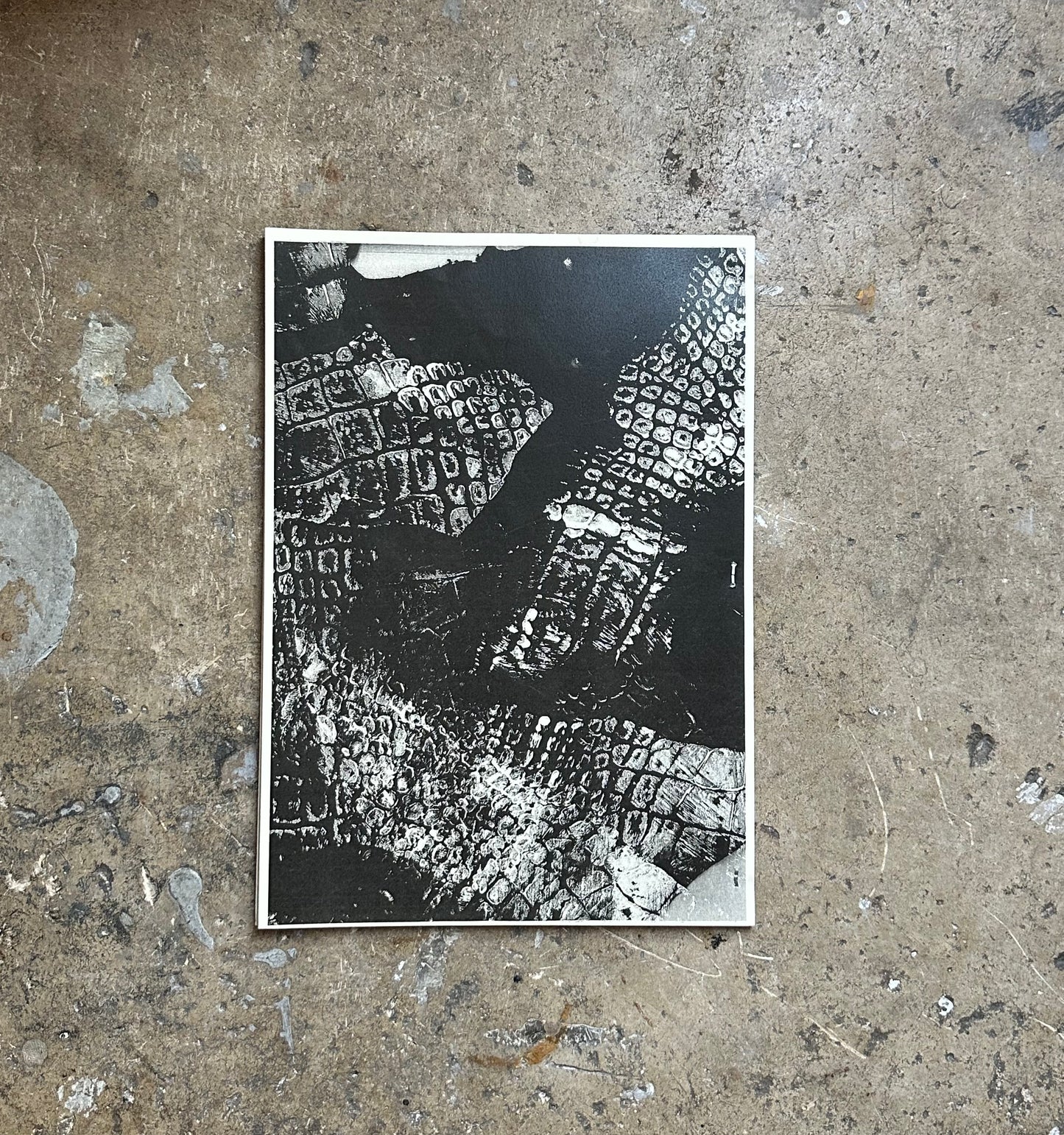 The Occult Magazine